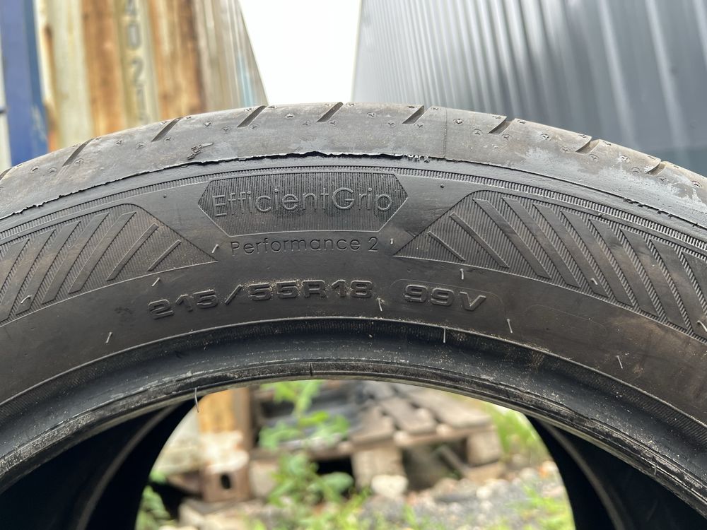 Opony letnie DEMO 215/55/R18 Goodyear EfficientGrip Performance 2
