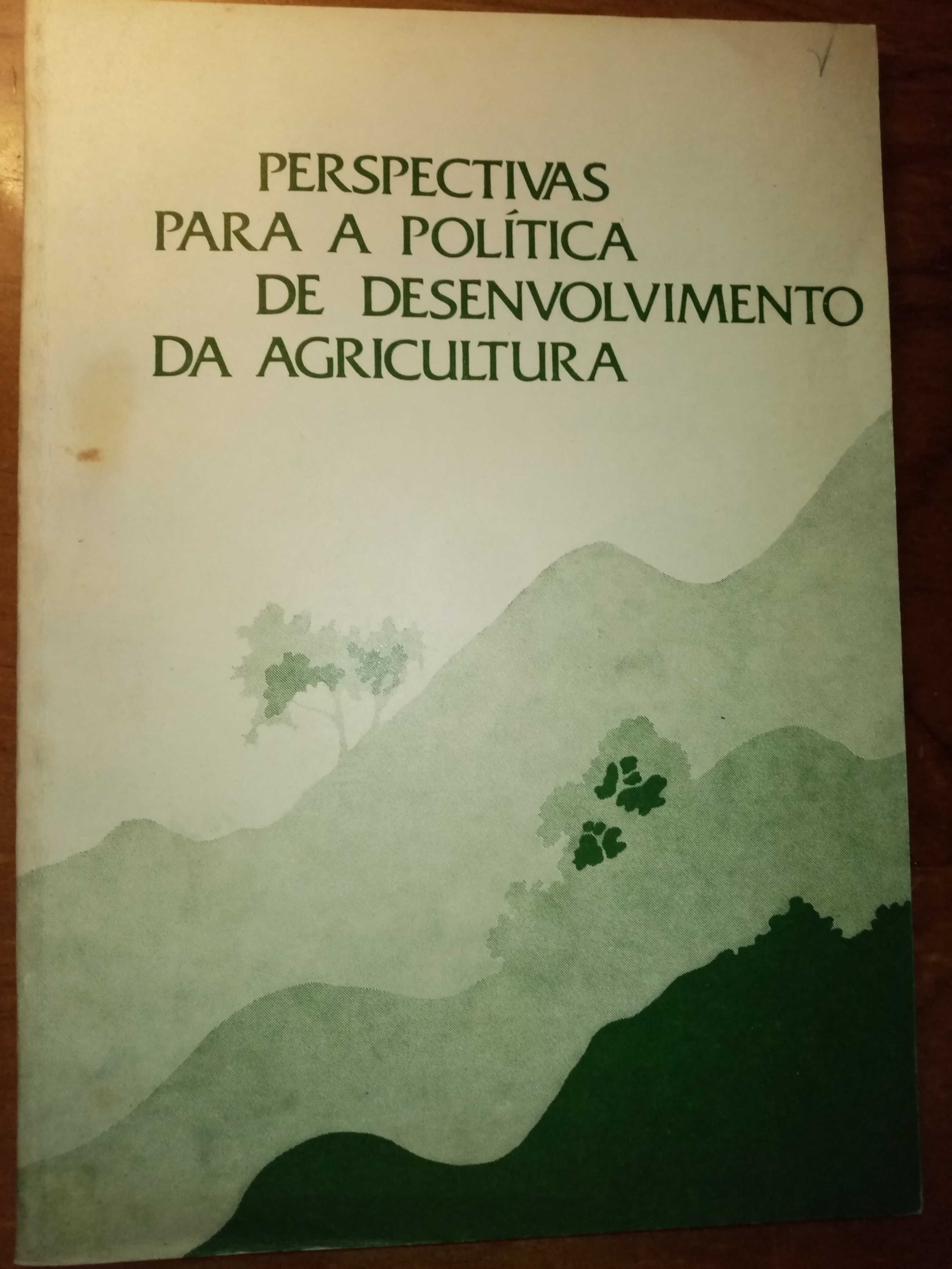 Estudos Anterianos Coleção Santos e Milagres Idade Média em Portugal