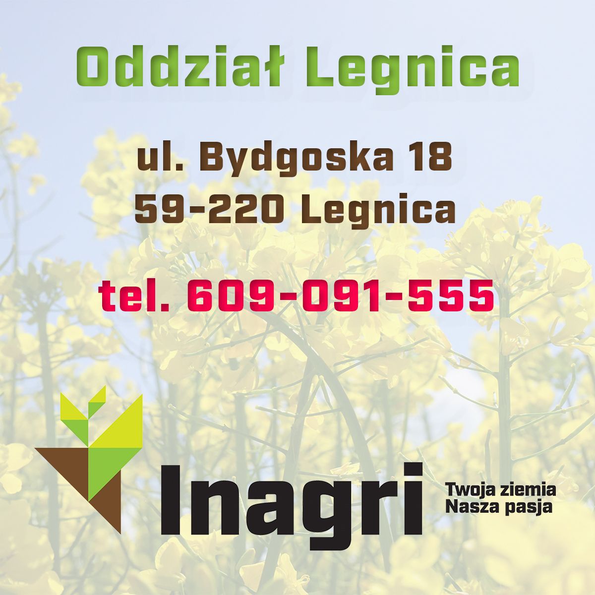 Rzepak ozimy Bachus C1, opak. 2,1 mln.n. Integral Pro i Buteo Start