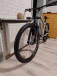 Sparrow Intro Mullet 29 / 27.5  - Rozmiar : L- Kolor : stone grey