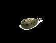 Koszyk zanętowy Korum Camo Window Feeder - 20g