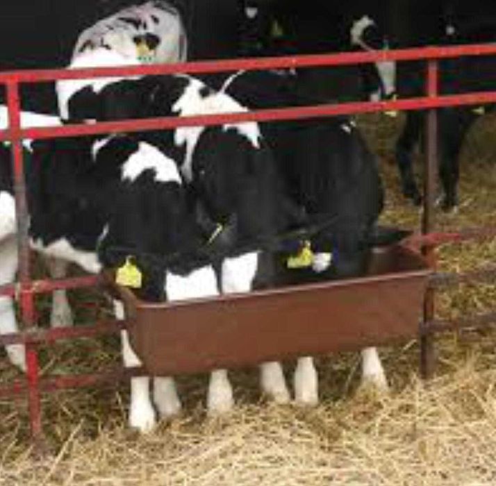 Podłużne koryto dla zwierząt gospodarskich