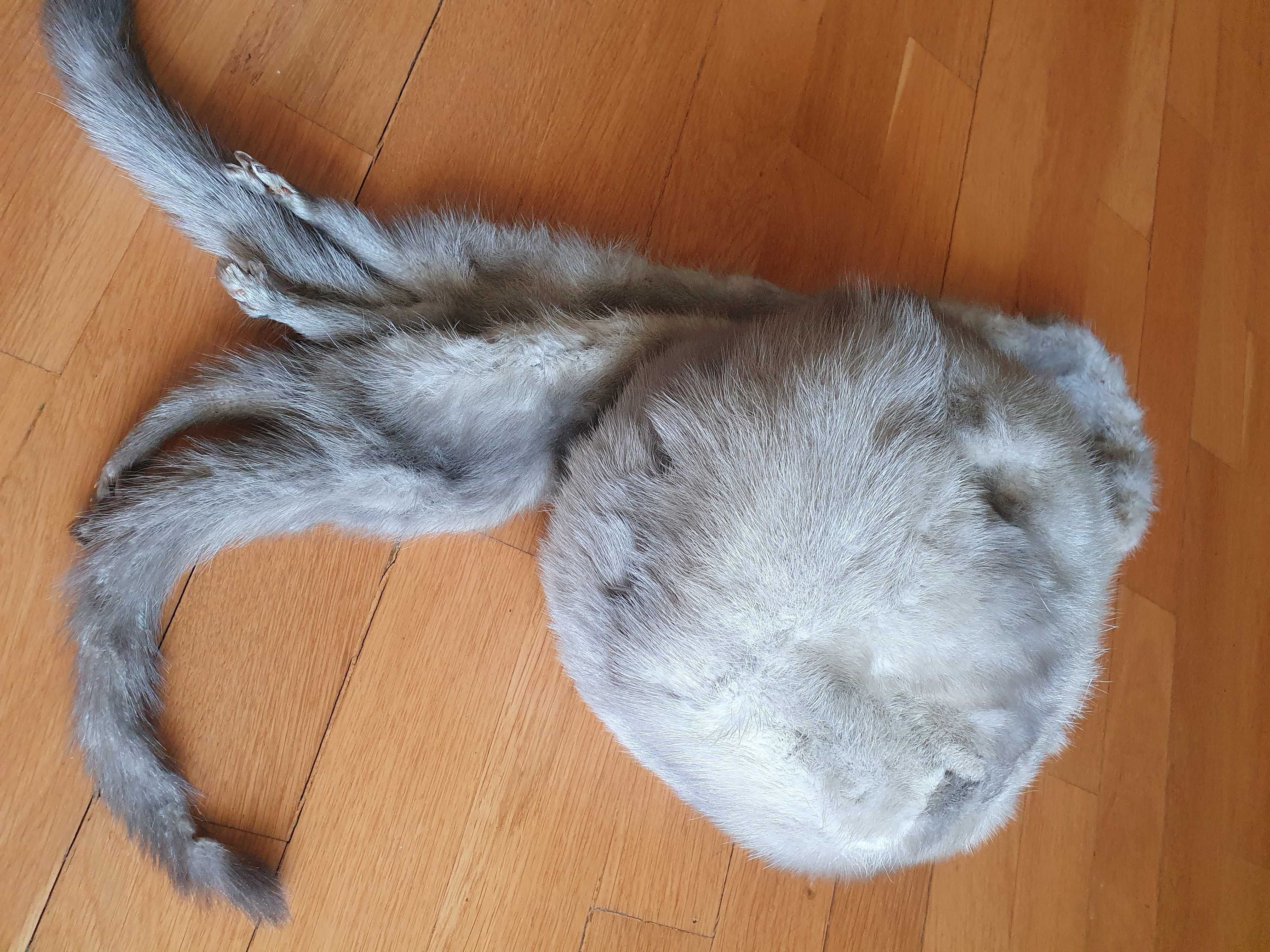 Komplet Czapka Szalik Norki