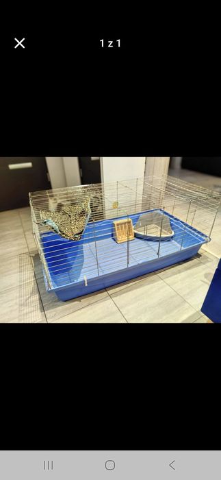 Klatka dla królika lub świnki morskiej