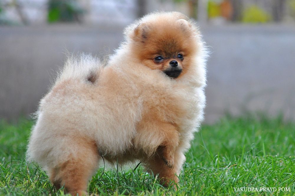 Незабутні очі цього малюка