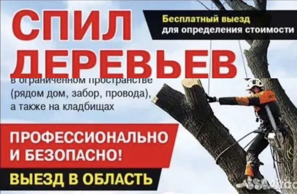 Спил деревьев дёшево Обрезка Удаление Валка