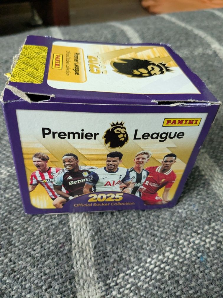 Panini Premier League 2025 НАЛіПКИ СТІКЕРИ НАКЛЕЙКИ Поштучно
