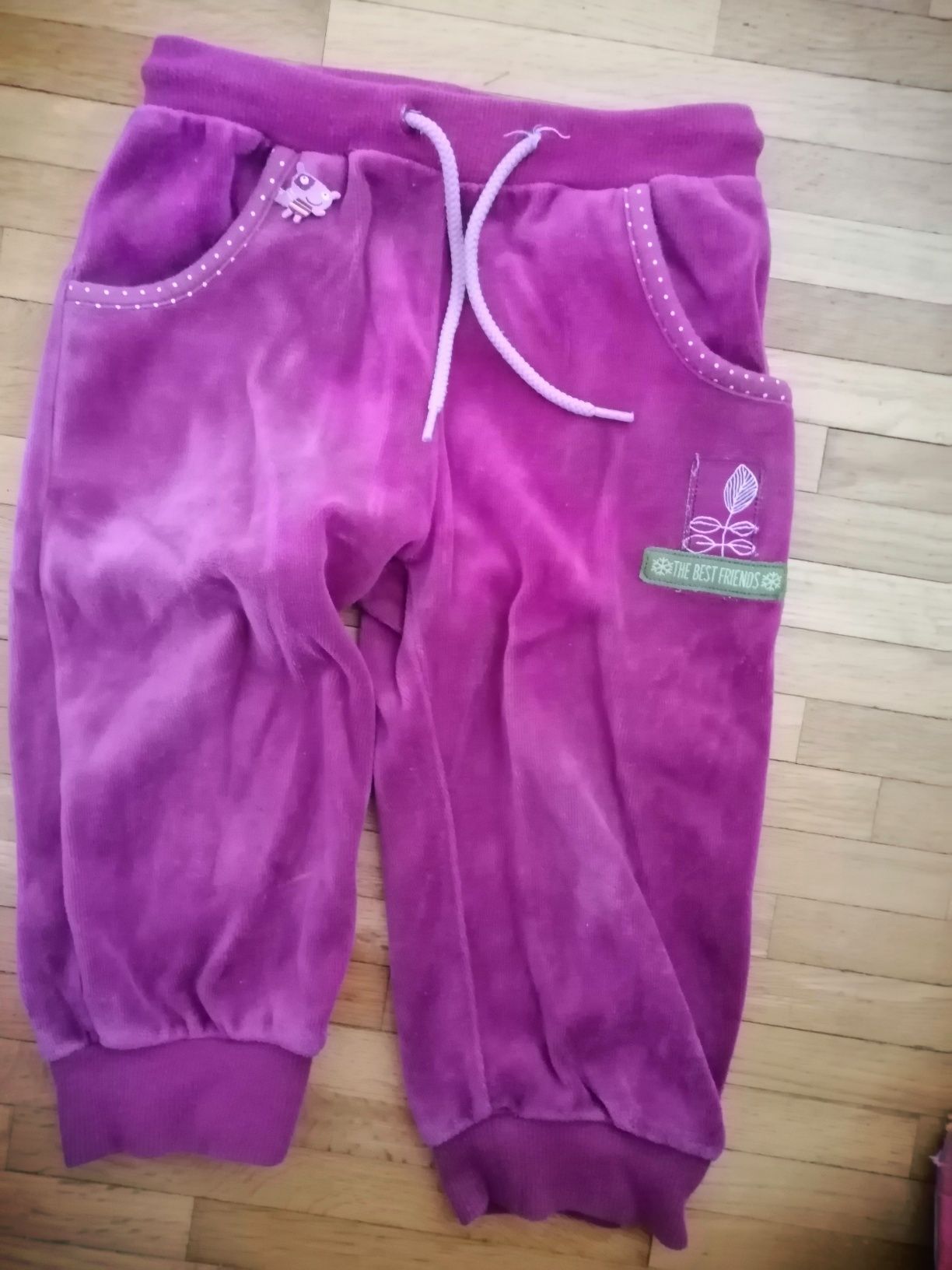 Dres welurowy cocodrillo