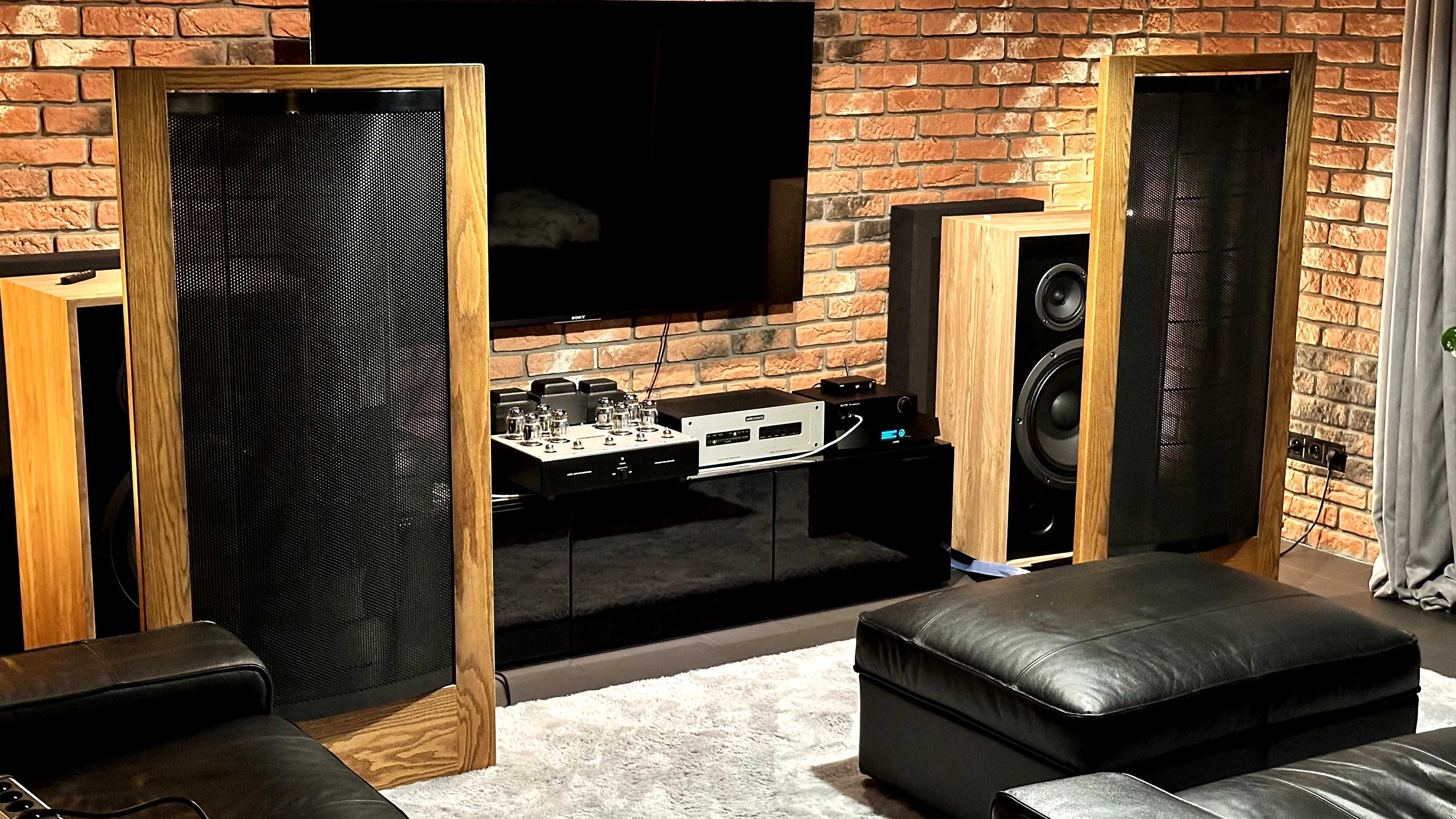 Martin Logan CLS IIa
