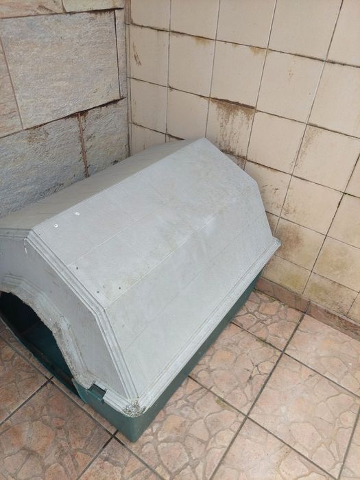 Casota para cães