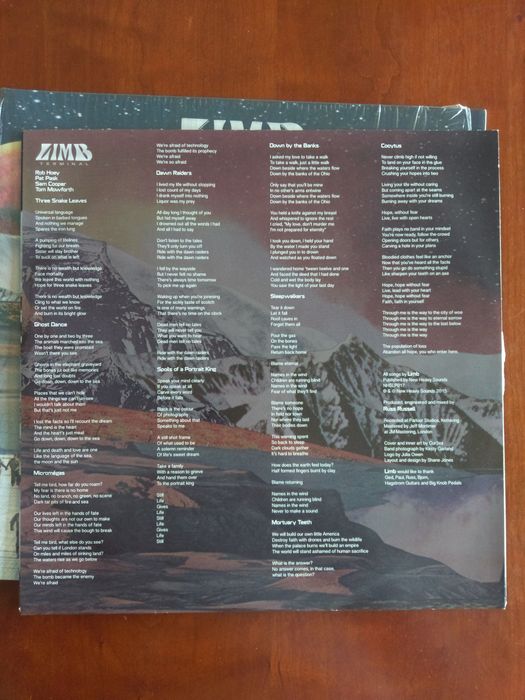 Limb terminal vinil lp