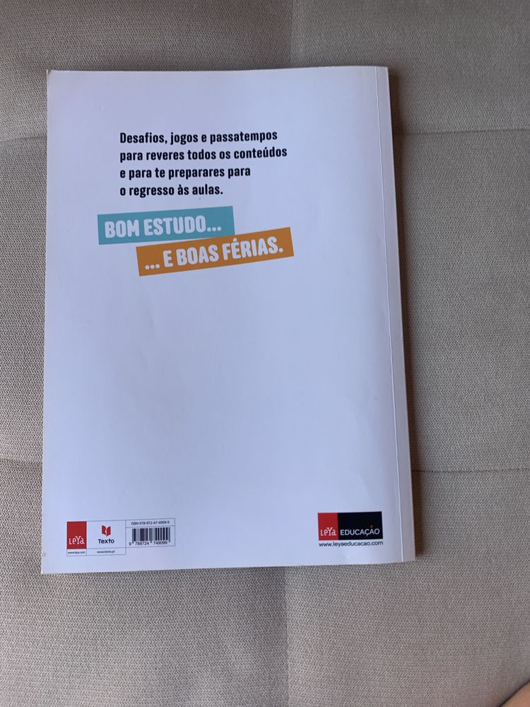Livro ferias grandes 5 ano-6 ano
