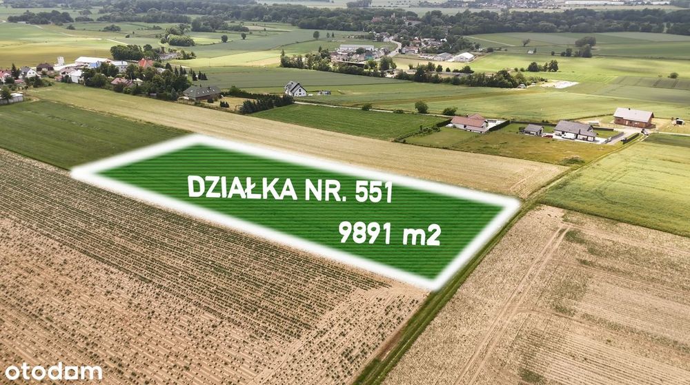 Sprzedam działkę 0,989 ha | Branice | Granica PL-CZ