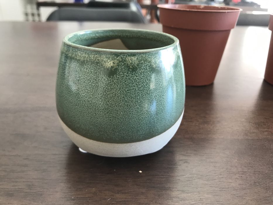 Vários vasos médios e pequenos para plantas
