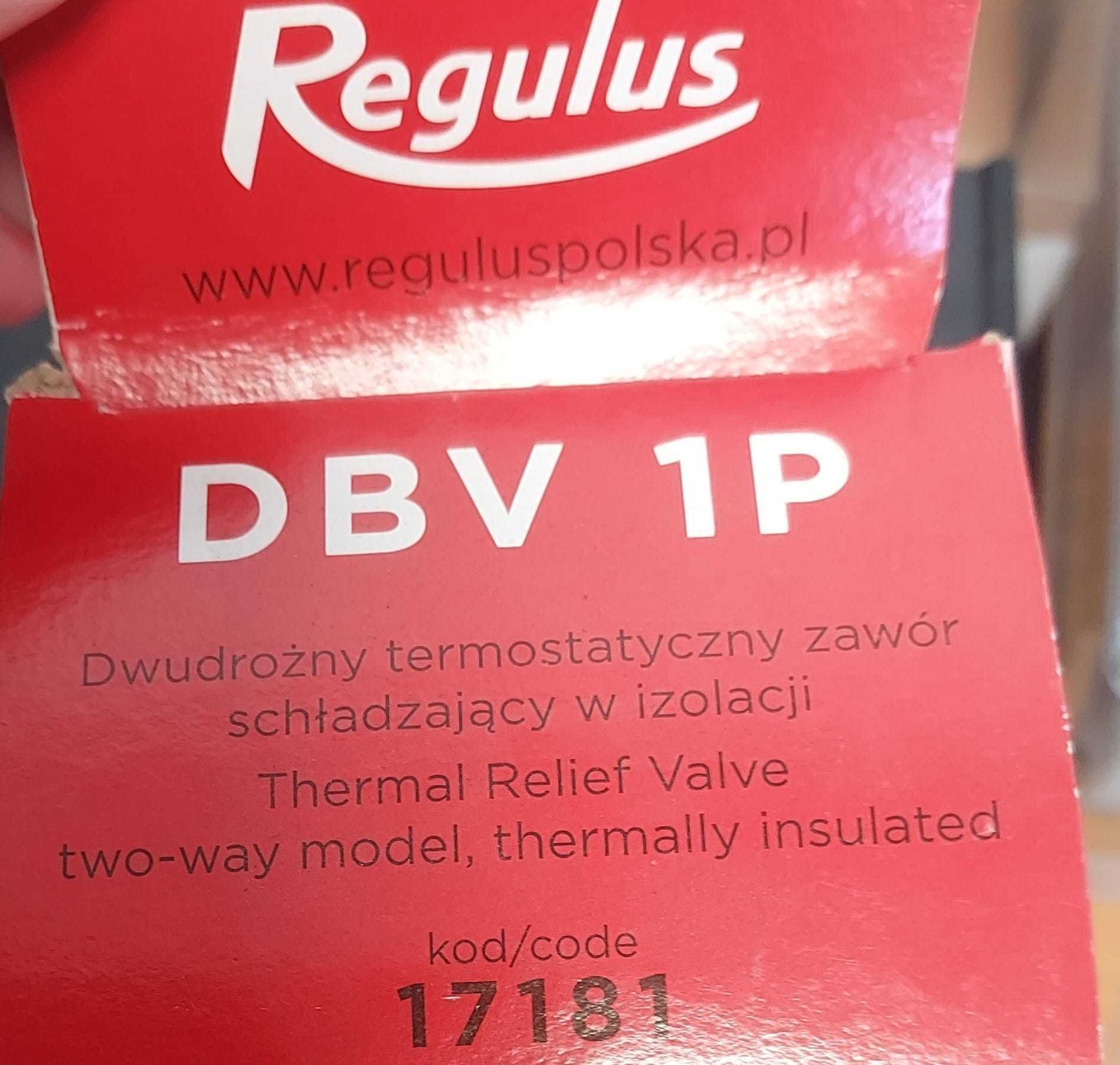 Dwudrożny termostatyczny zawór schładzający w izolacji Regulus DBV 1P