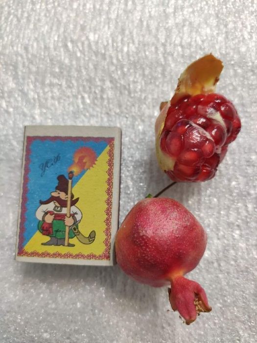 Гранат комнатный карликовый Нана