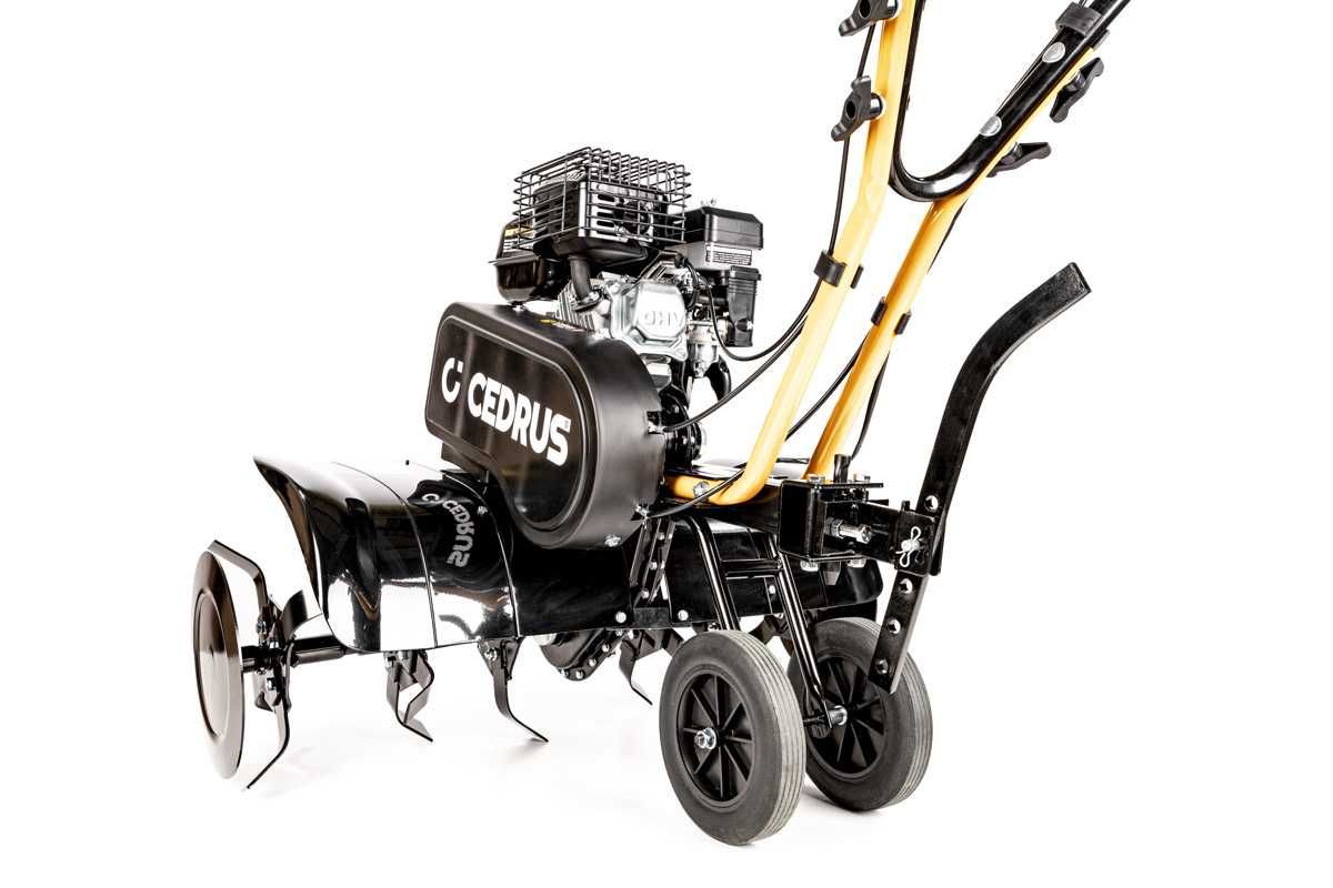 Glebogryzarka Cedrus 80cm Loncin G200F biegi: 1 do przodu / 1 do tyłu