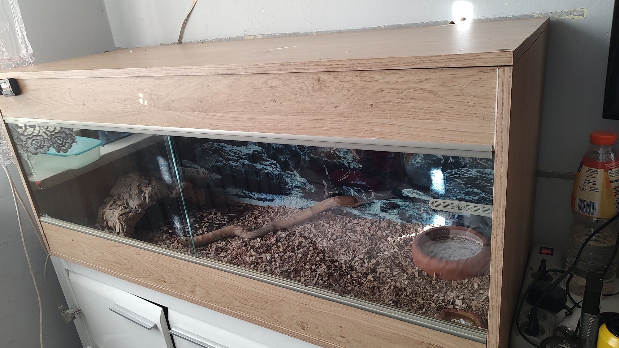 Terrarium jaszczurka/gekon