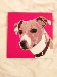 Obrazek pies 30x30cm Jack Russel Terrier