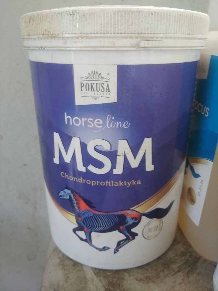 Wit c  msm horseline