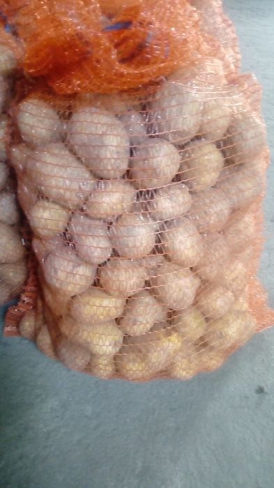 Ziemniaki Jadalne Wineta Ekologiczne prosto od rolnika 1.60 zł