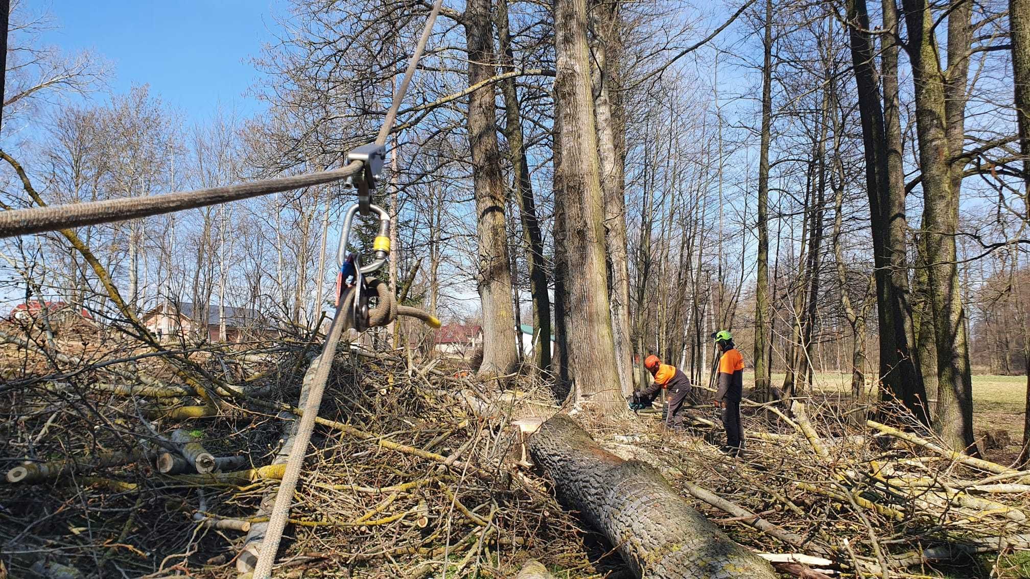 wycinka drzew metodą alpinistyczną prace wysokościowe frezowanie pni