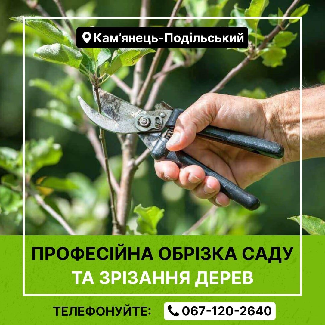 Літня обрізка черешень,саду омолодження старих дерев, зрізання дерев