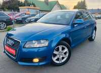 Audi A3 1,6 Benzyna / Z Niemiec / Śliczny / Pisemna Gwarancja / 5 Drzwi /