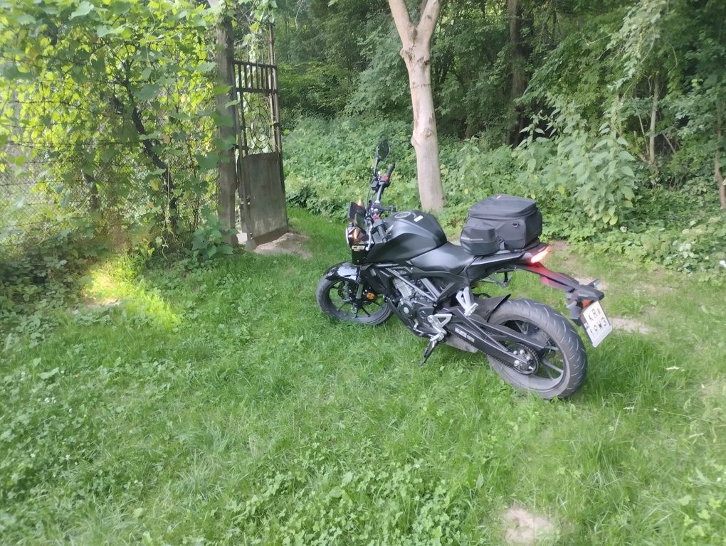 Honda CB125R wynajem