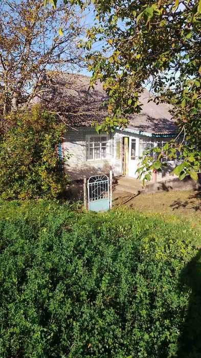 Продам будинок, с. Куча. ділянка 50 ст.