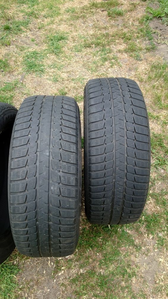 Шини зимові 2 шт. 225/55/R18