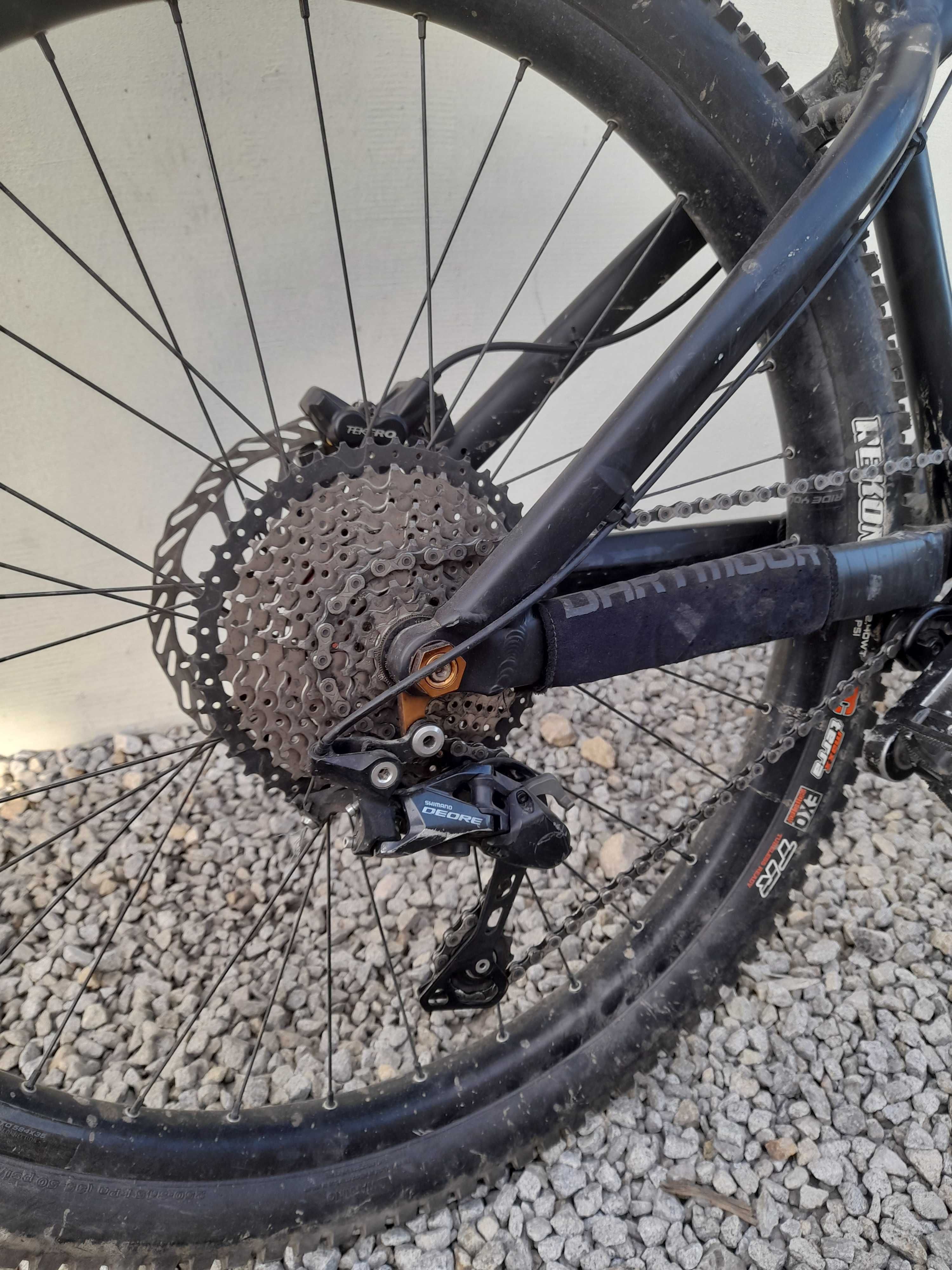 Dartmoor hornet 2020