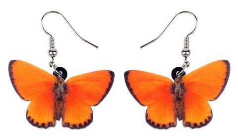 Kolczyki motyl motyle czerwończyk dukacik