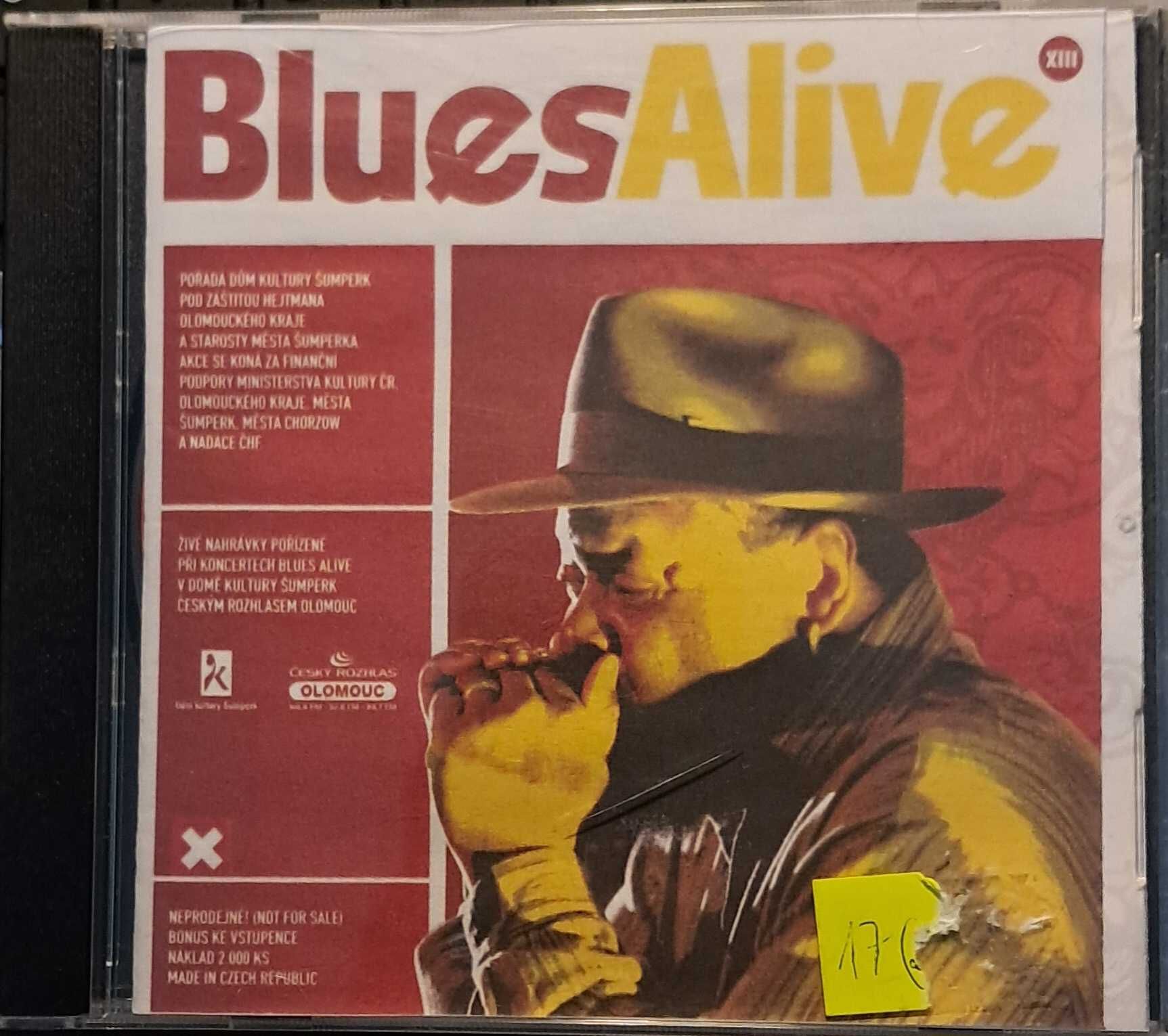 Blues Alive - Koncert lIve w Ołomuńcu 2007 r.
