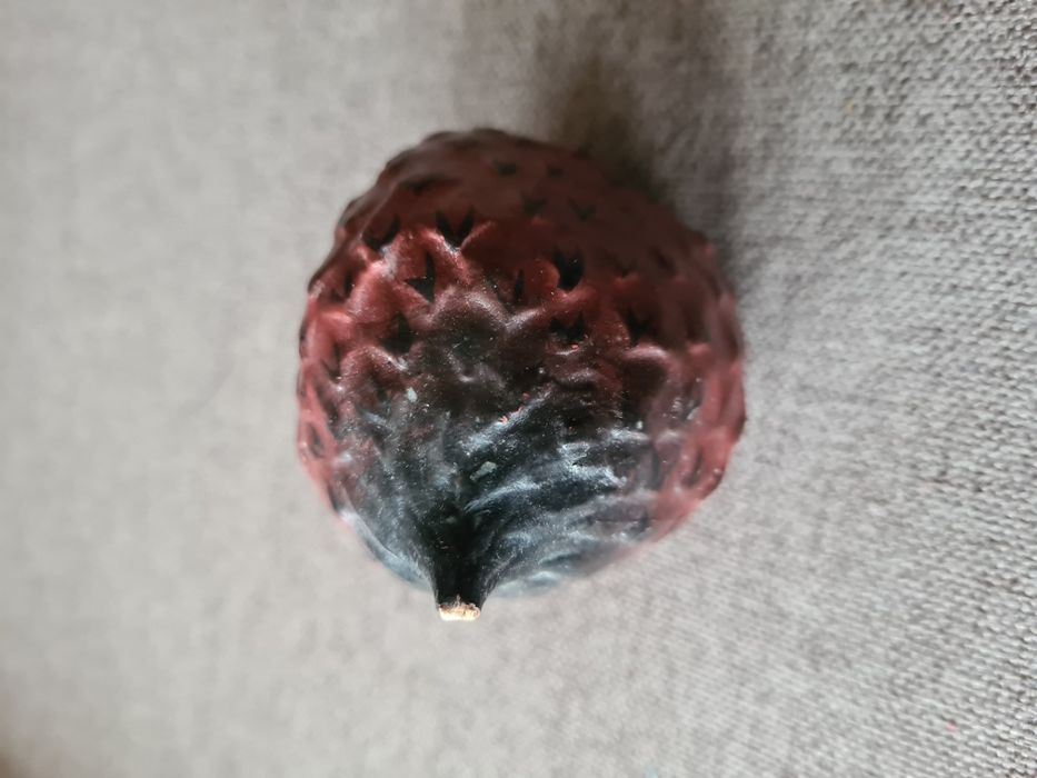 8 frutas tropicais decorativas