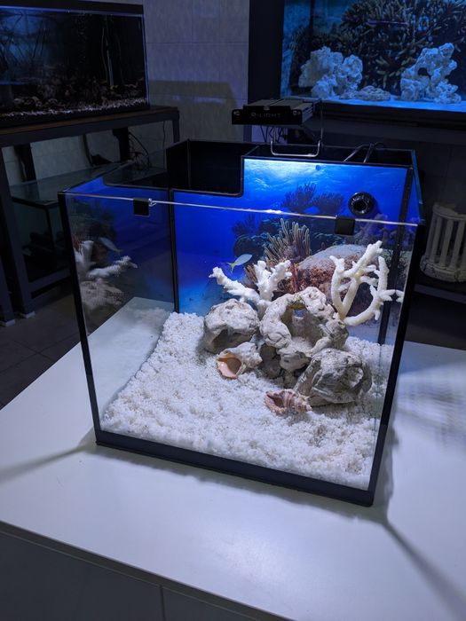 Настільний міні акваріум!