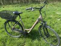 Rower damski kola 28