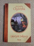 Książka Labirynt Lukrecji Agnieszka Chylińska  używana.