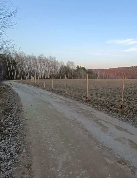 Ogrodzenie leśne tymczasowe budowlane