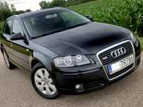 Audi a3 8p 1.9 105KM_S-Line_5 drzwi_2007r_Lift_Bez grama korozji