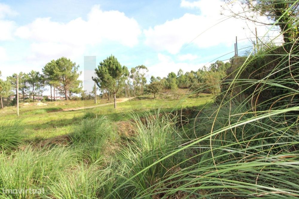 Terreno com 3000m2 URBANO