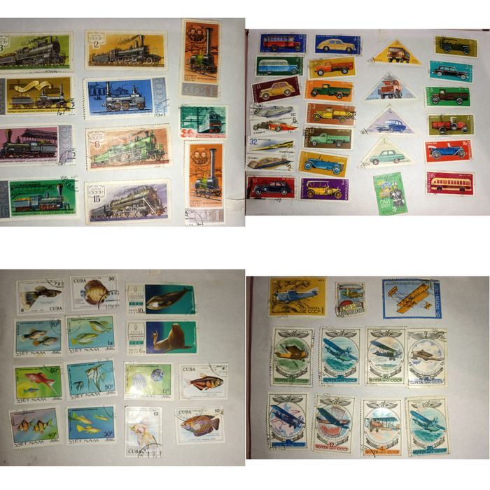 Марки ( автомобили, корабли, животные и т.д.)