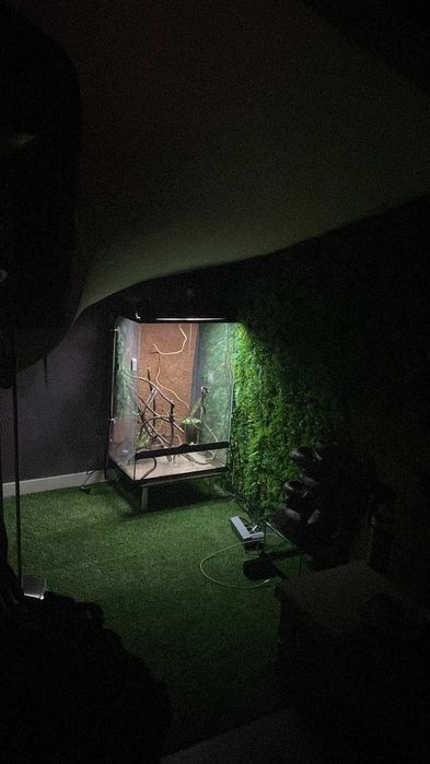 Terrário (Terrario para réptil como camaleão)