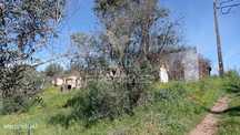 Casa de campo c/ vista barragem, Montargil