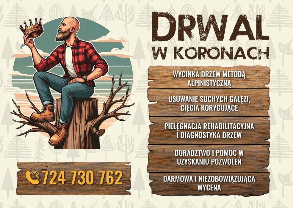 Wycinka drzew metodą linową, usuwanie posuszu i wiatrołomów