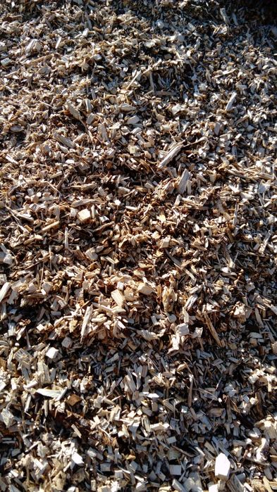 Zrębka ogrodowa na podsypkę kompostowa leśna drzewna