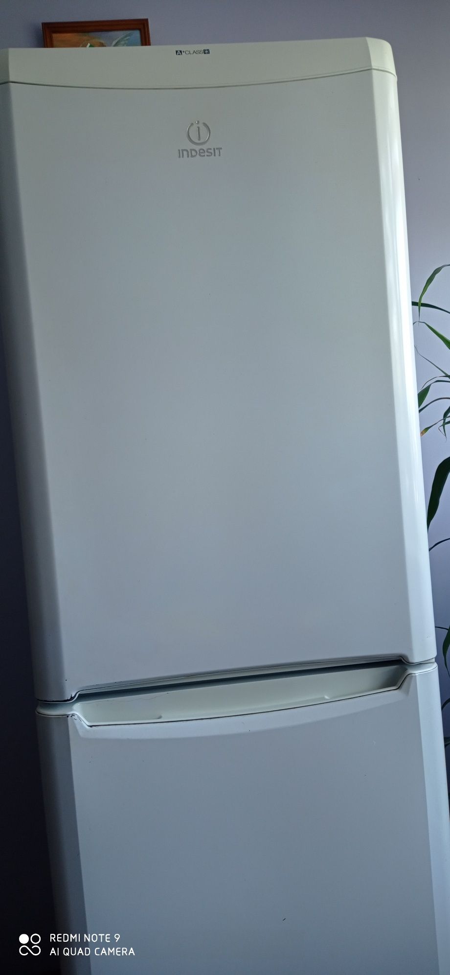 Lodówka Indesit biala