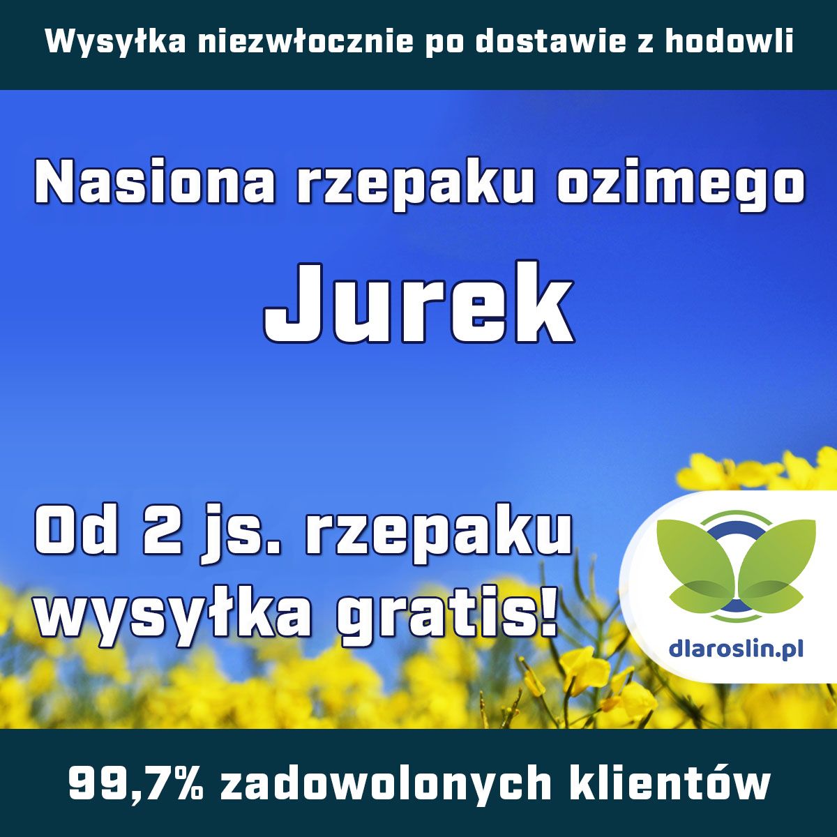 Rzepak ozimy Jurek F1, C1, opak. 1,5 mln.n. Integral Pro i Lumiposa