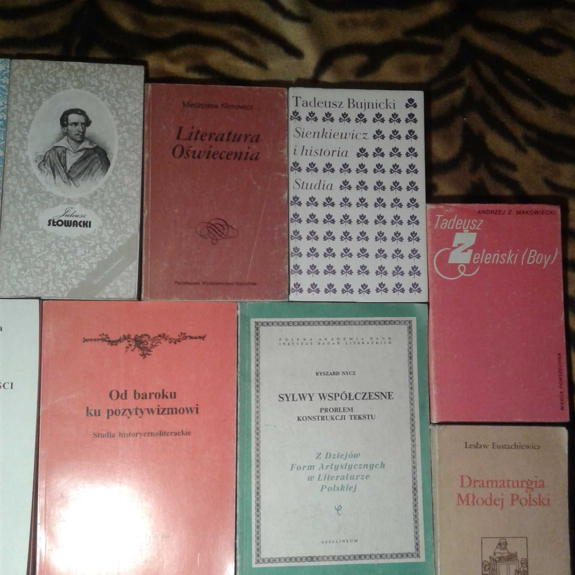 Polonistyka literaturoznawstwo zestaw 25 książek