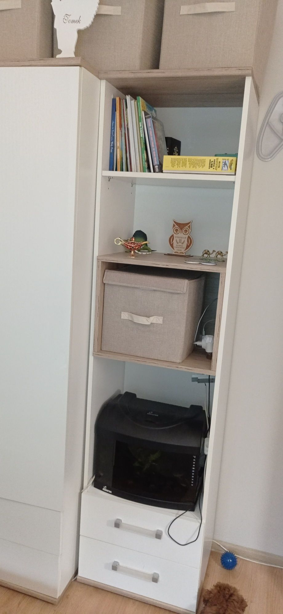 Meble Amazon Wójcik zestaw dla dziecka przedszkolaka .